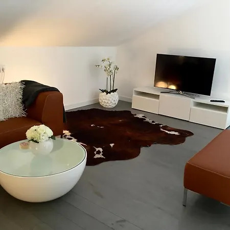 Semesterbostad Neues, Modernes Steinchalet Mit Grosser Terrasse Und Pool Bei Rondinara *